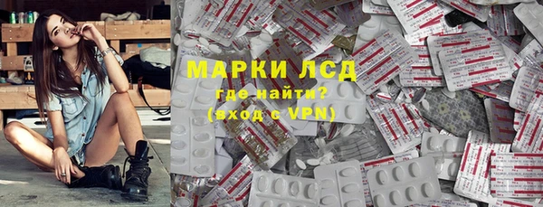индика Алзамай