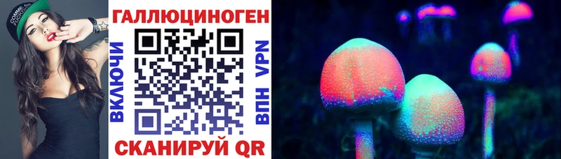 Псилоцибиновые грибы Cubensis  магазин    Клин 
